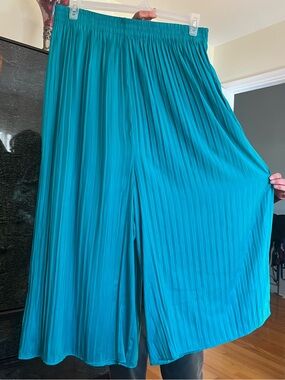 Zara Aqua Pleated Wide-Leg Palazzo Pants